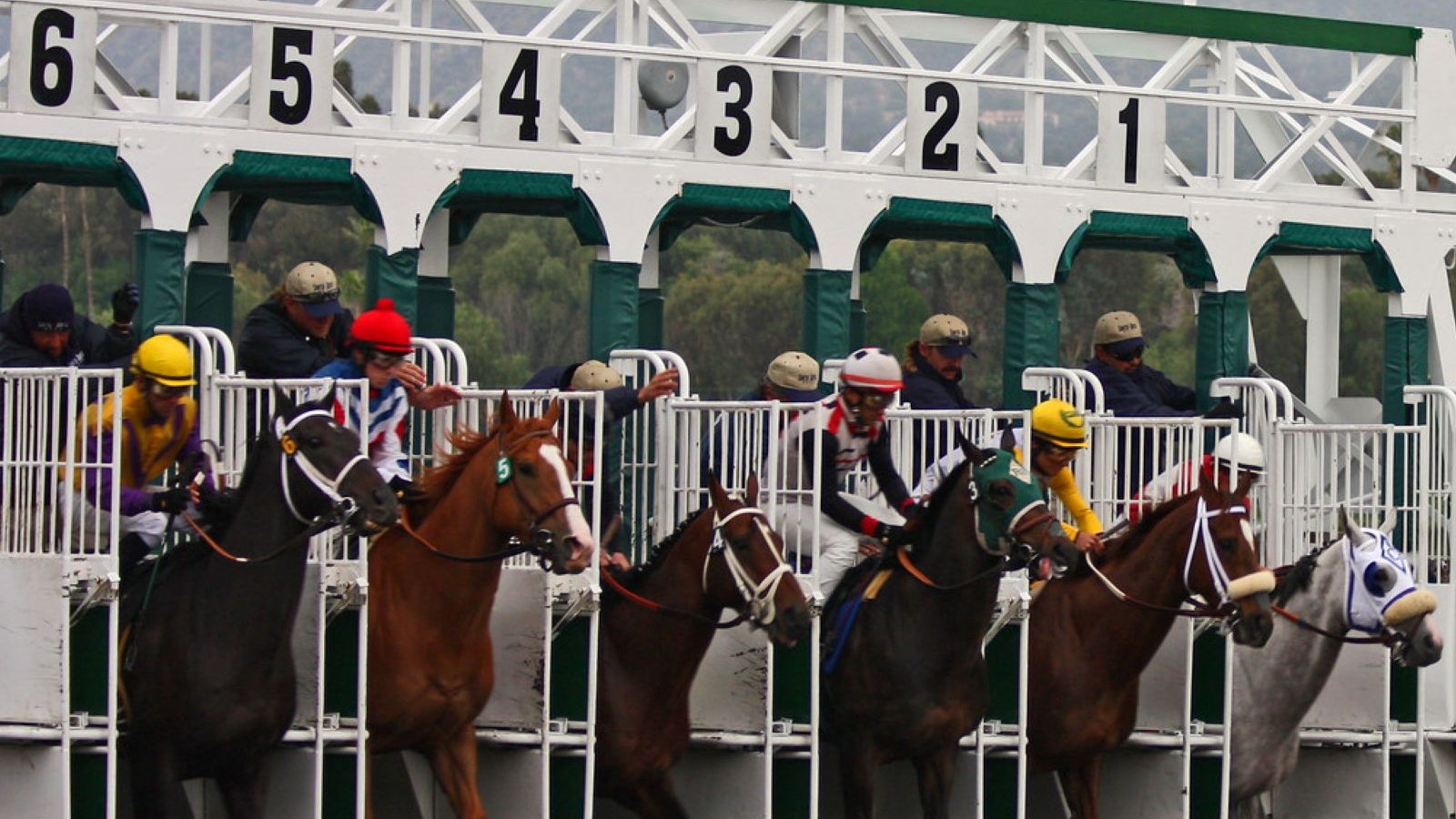 Texas Online Horse Betting Blocked Again | TwinSpires Case
