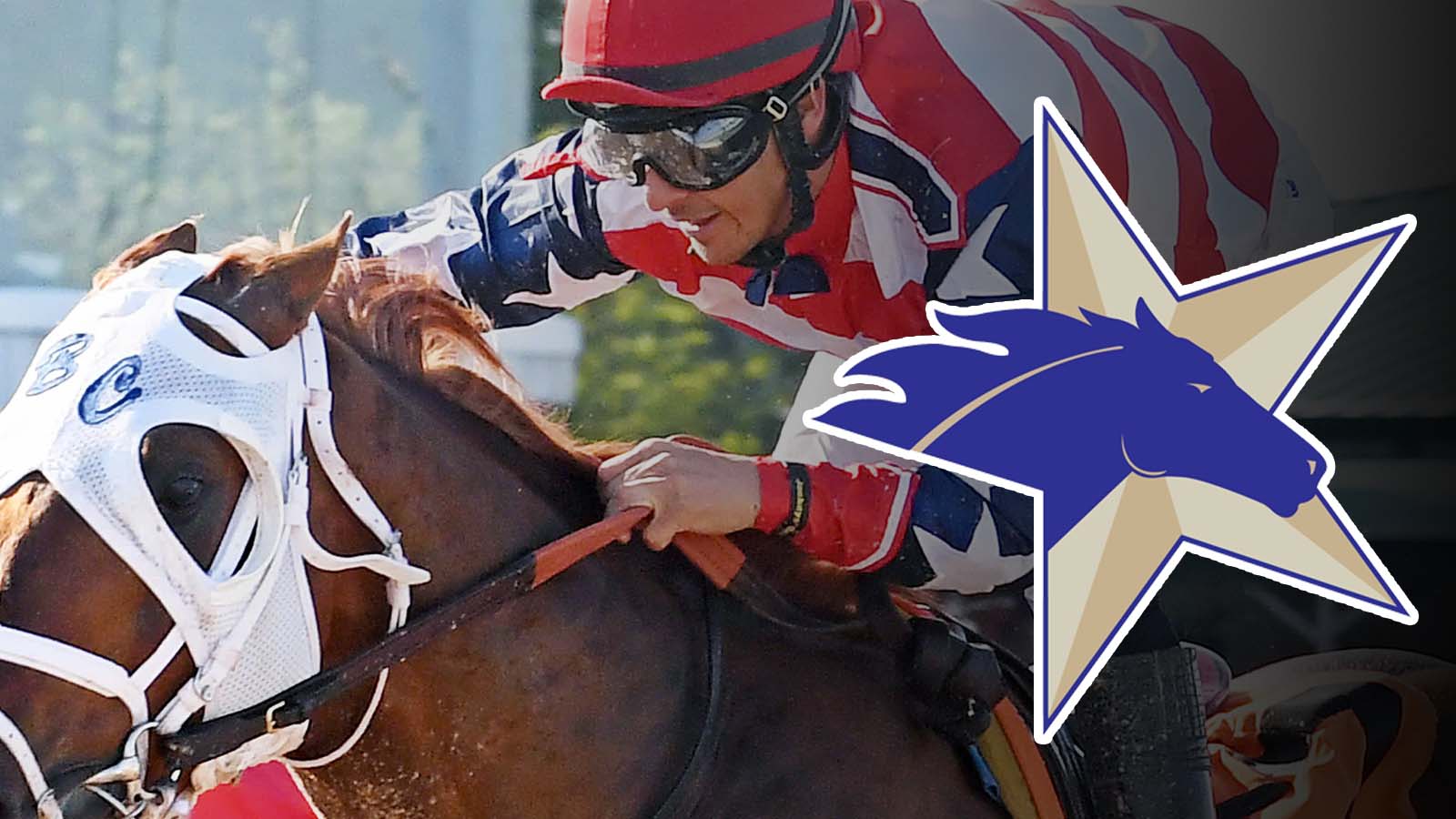 Texas Horse Racing Groups Push to Restore Simulcast Signal